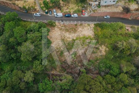 Helårsgrund i Machico, Madeira, Machico - € 60.000 | Ref: 1212-6600 - foto 8
