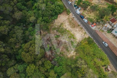 Helårsgrund i Machico, Madeira, Machico - € 60.000 | Ref: 1212-6600 - foto 9