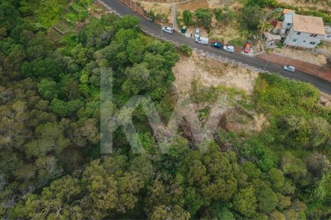 Helårsgrund i Machico, Madeira, Machico - € 60.000 | Ref: 1212-6600 - foto 10