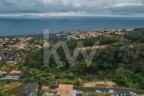 Helårsgrund i Machico, Madeira, Machico - € 60.000 | Ref: 1212-6600 - foto 12