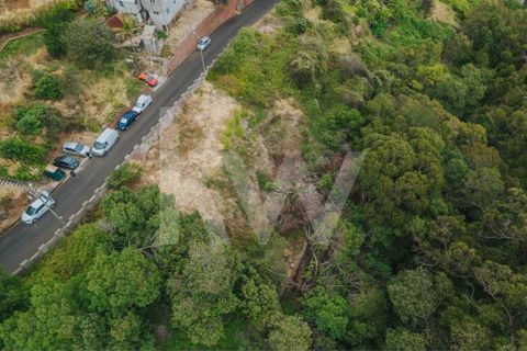Helårsgrund i Machico, Madeira, Machico - € 60.000 | Ref: 1212-6600 - foto 13