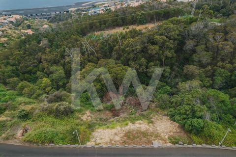 Helårsgrund i Machico, Madeira, Machico - € 60.000 | Ref: 1212-6600 - foto 14