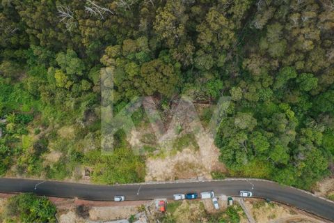 Helårsgrund i Machico, Madeira, Machico - € 60.000 | Ref: 1212-6600 - foto 15
