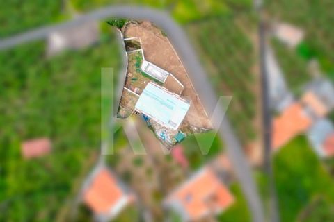 Byhus i Ribeira Brava, Madeira, Ribeira Brava - € 1.375.000 | Ref: 1212-6740 - foto 25