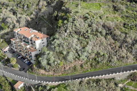Helårsgrund i Calheta, Madeira, Calheta - € 60.000 | Ref: 1212-1831 - foto 3