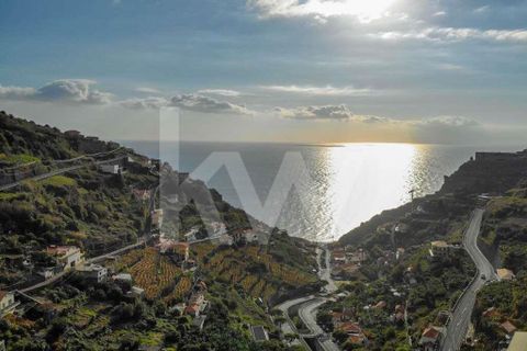 Helårsgrund i Calheta, Madeira, Calheta - € 60.000 | Ref: 1212-1831 - foto 6