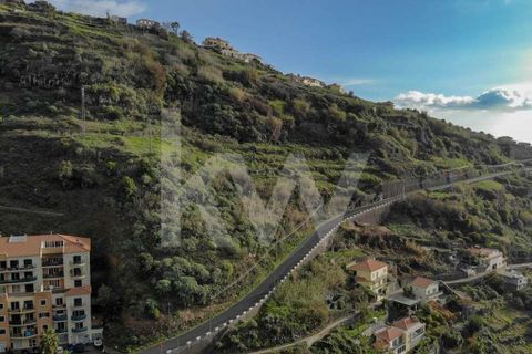 Helårsgrund i Calheta, Madeira, Calheta - € 60.000 | Ref: 1212-1831 - foto 7