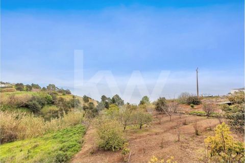 Byhus i Calheta, Madeira, Calheta - € 580.000 | Ref: 1212-8186 - foto 16