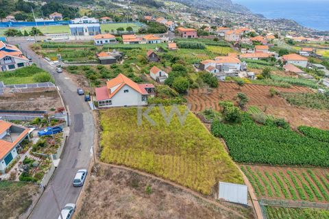 Helårsgrund i Ponta do Sol, Madeira, Ponta do Sol - € 190.000 | Ref: KWPT-004060 - foto 17