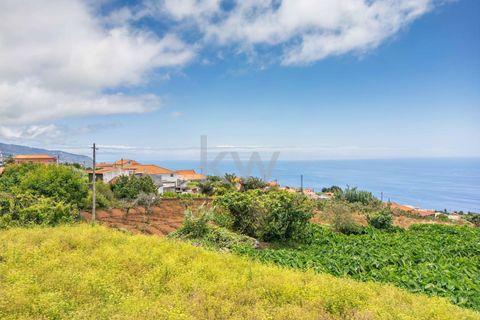 Helårsgrund i Ponta do Sol, Madeira, Ponta do Sol - € 190.000 | Ref: KWPT-004060 - foto 19