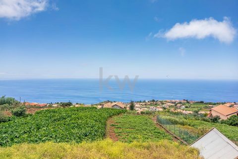 Helårsgrund i Ponta do Sol, Madeira, Ponta do Sol - € 190.000 | Ref: KWPT-004060 - foto 20