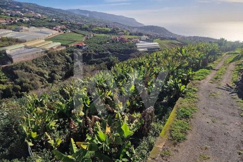 Helårsgrund i Ponta do Sol, Madeira, Ponta do Sol - € 170.000 | Ref: 1212-7749 - foto 3