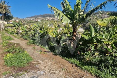 Helårsgrund i Ponta do Sol, Madeira, Ponta do Sol - € 170.000 | Ref: 1212-7749 - foto 4
