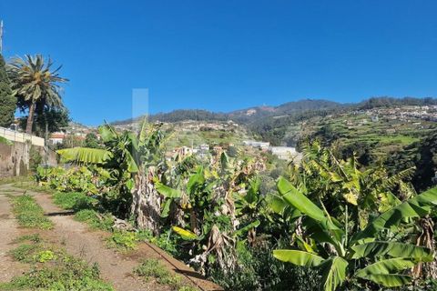 Helårsgrund i Ponta do Sol, Madeira, Ponta do Sol - € 170.000 | Ref: 1212-7749 - foto 5