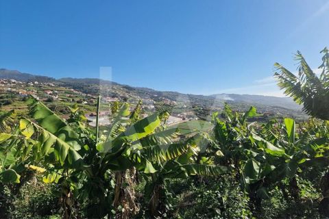 Helårsgrund i Ponta do Sol, Madeira, Ponta do Sol - € 170.000 | Ref: 1212-7749 - foto 6