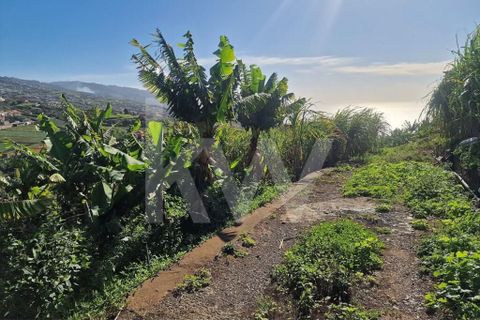 Helårsgrund i Ponta do Sol, Madeira, Ponta do Sol - € 170.000 | Ref: 1212-7749 - foto 7