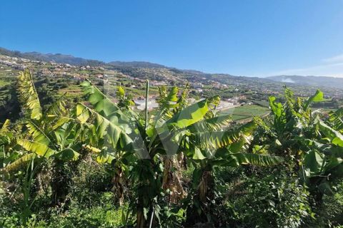 Helårsgrund i Ponta do Sol, Madeira, Ponta do Sol - € 170.000 | Ref: 1212-7749 - foto 8
