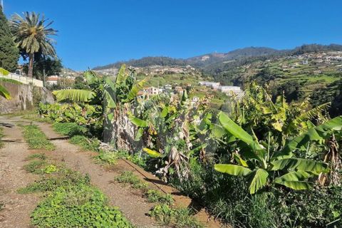 Helårsgrund i Ponta do Sol, Madeira, Ponta do Sol - € 170.000 | Ref: 1212-7749 - foto 9