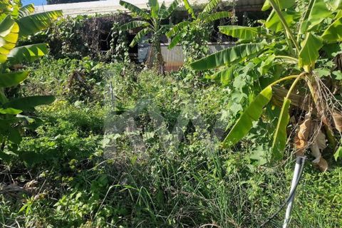 Helårsgrund i Ponta do Sol, Madeira, Ponta do Sol - € 170.000 | Ref: 1212-7749 - foto 10