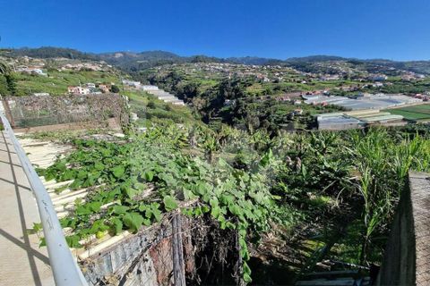 Helårsgrund i Ponta do Sol, Madeira, Ponta do Sol - € 170.000 | Ref: 1212-7749 - foto 11