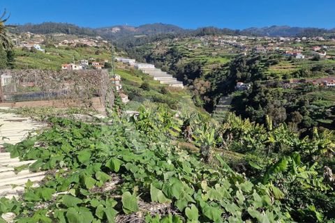 Helårsgrund i Ponta do Sol, Madeira, Ponta do Sol - € 170.000 | Ref: 1212-7749 - foto 12