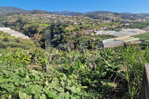 Helårsgrund i Ponta do Sol, Madeira, Ponta do Sol - € 170.000 | Ref: 1212-7749 - foto 13