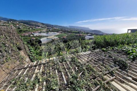 Helårsgrund i Ponta do Sol, Madeira, Ponta do Sol - € 170.000 | Ref: 1212-7749 - foto 14