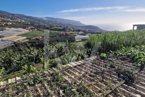 Helårsgrund i Ponta do Sol, Madeira, Ponta do Sol - € 170.000 | Ref: 1212-7749 - foto 15