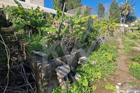 Helårsgrund i Ponta do Sol, Madeira, Ponta do Sol - € 170.000 | Ref: 1212-7749 - foto 16