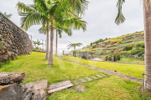 Byhus i Calheta, Madeira, Calheta - € 730.000 | Ref: 1212-7414 - foto 39