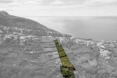 Helårsgrund i Calheta, Madeira, Calheta - € 195.000 | Ref: 1212-7217 - foto 6