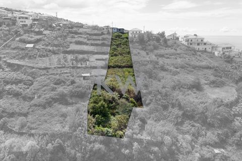 Helårsgrund i Calheta, Madeira, Calheta - € 195.000 | Ref: 1212-7217 - foto 10