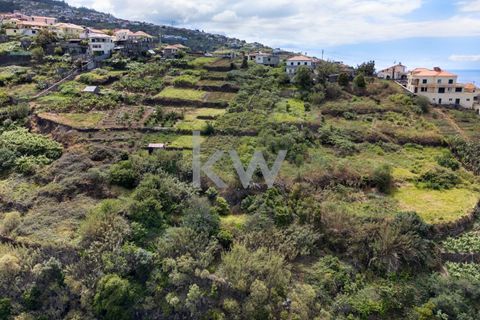 Helårsgrund i Calheta, Madeira, Calheta - € 195.000 | Ref: 1212-7217 - foto 11