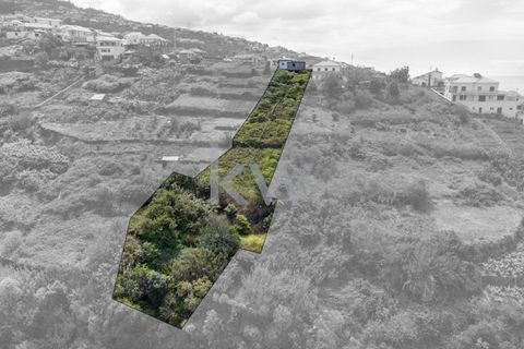 Helårsgrund i Calheta, Madeira, Calheta - € 195.000 | Ref: 1212-7217 - foto 12