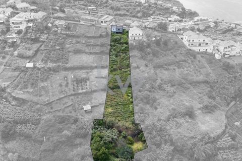 Helårsgrund i Calheta, Madeira, Calheta - € 195.000 | Ref: 1212-7217 - foto 14