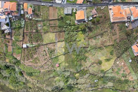 Helårsgrund i Calheta, Madeira, Calheta - € 195.000 | Ref: 1212-7217 - foto 15