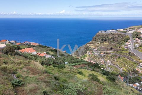 Helårsgrund i Calheta, Madeira, Calheta - € 195.000 | Ref: 1212-7217 - foto 17
