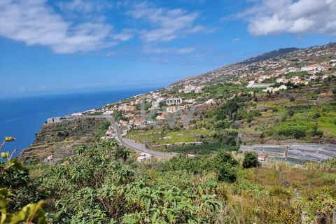 Helårsgrund i Calheta, Madeira, Calheta - € 195.000 | Ref: 1212-7217 - foto 18