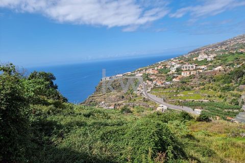 Helårsgrund i Calheta, Madeira, Calheta - € 195.000 | Ref: 1212-7217 - foto 19