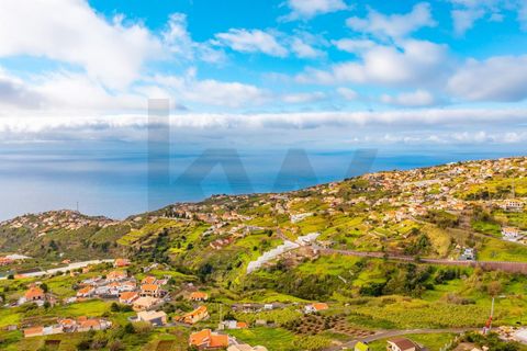 Byhus i Ponta do Sol, Madeira, Ponta do Sol - € 2.950.000 | Ref: 1212-7837 - foto 14