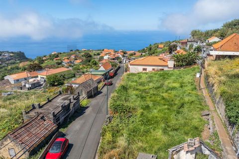 Helårsgrund i Ponta do Sol, Madeira, Ponta do Sol - € 75.000 | Ref: 1212-7246 - foto 17