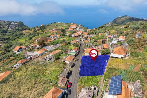 Helårsgrund i Ponta do Sol, Madeira, Ponta do Sol - € 75.000 | Ref: 1212-7246 - foto 20