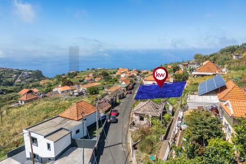 Helårsgrund i Ponta do Sol, Madeira, Ponta do Sol - € 75.000 | Ref: 1212-7246 - foto 22