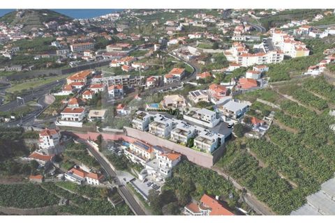Byhus i Camara de Lobos, Madeira, Camara de Lobos - € 530.000 | Ref: 1212-4941 - foto 29