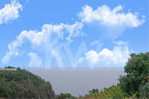 Helårsgrund i Santana, Madeira, Santana - € 100.000 | Ref: 1212-924 - foto 3