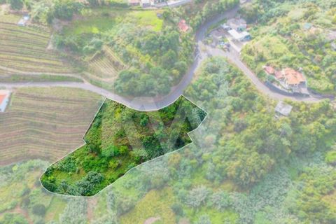 Helårsgrund i Santana, Madeira, Santana - € 100.000 | Ref: 1212-924 - foto 4