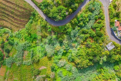 Helårsgrund i Santana, Madeira, Santana - € 100.000 | Ref: 1212-924 - foto 5