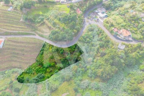 Helårsgrund i Santana, Madeira, Santana - € 100.000 | Ref: 1212-924 - foto 7