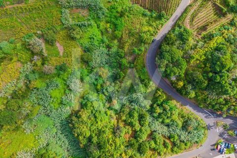 Helårsgrund i Santana, Madeira, Santana - € 100.000 | Ref: 1212-924 - foto 10