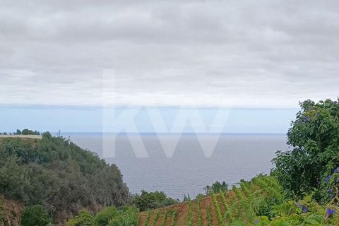 Helårsgrund i Santana, Madeira, Santana - € 100.000 | Ref: 1212-924 - foto 13
